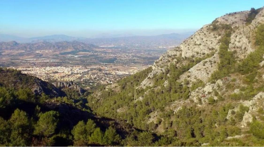 Apartamento Biznaga Alhaurín de la Torre Extérieur photo